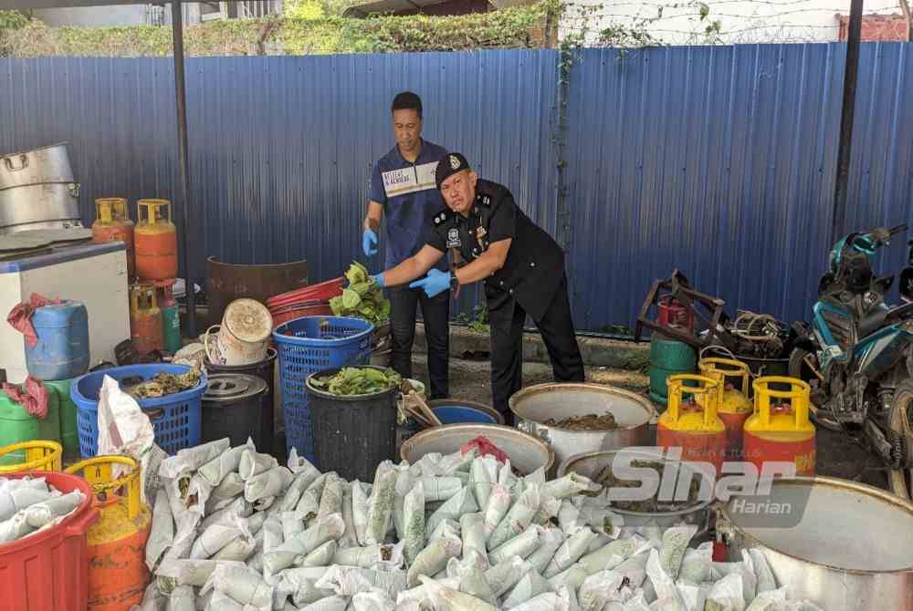 Ahmad Shafiki (kanan) melihat daun ketum yang ditemukan polis. Foto Sinar Harian/ADILA SHARINNI WAHID