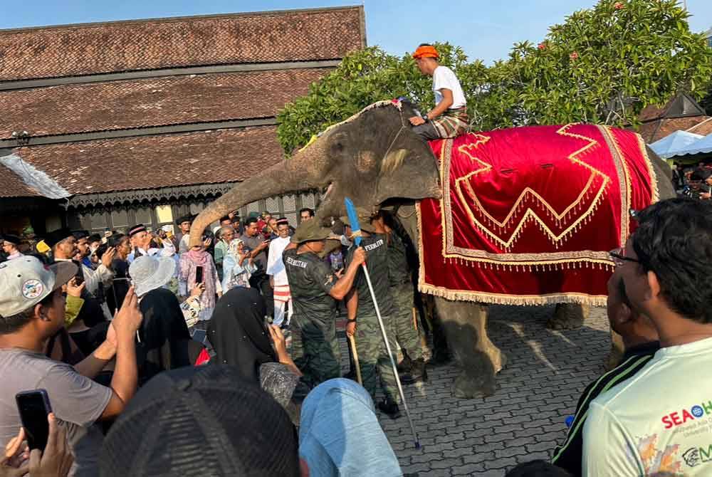 Orang ramai yang memanfaatkan peluang melihat gajah dengan lebih dekat.