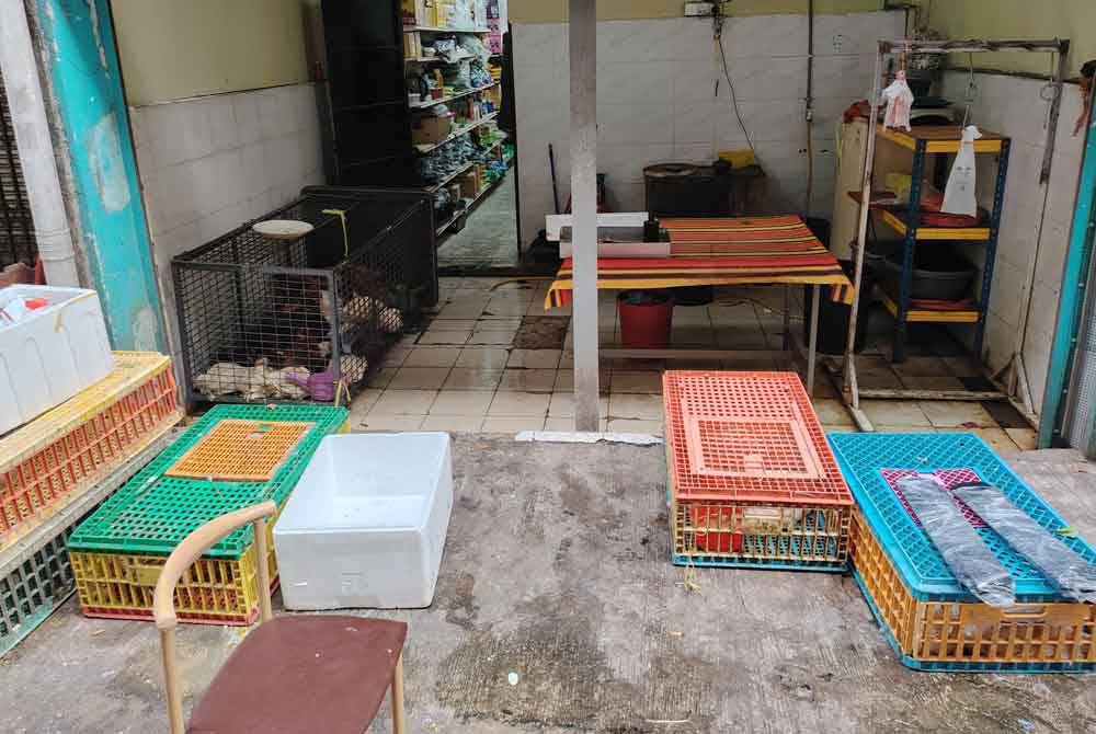 Sangkar yang dimuatkan haiwan ternakan ayam dan itik di sebuah kedai runcit di Kompleks Damai, Jalan Ipoh, Kuala Lumpur.