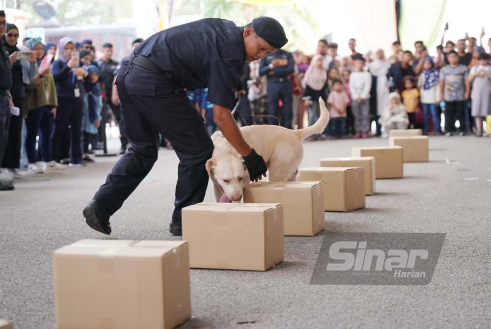 Anjing K9 cuba mengesan dadah yang diletakkan di dalam kotak. Foto Sinar Harian - ROSLI TALIB