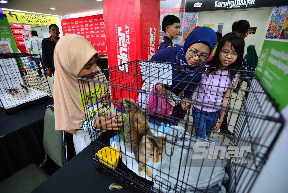 Pameran kucing yang dibawakan oleh Tom Kraf.
