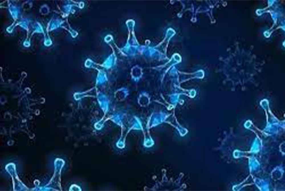 Angka kematian akibat jangkitan disyaki virus Chandipura meningkat kepada 48 orang.