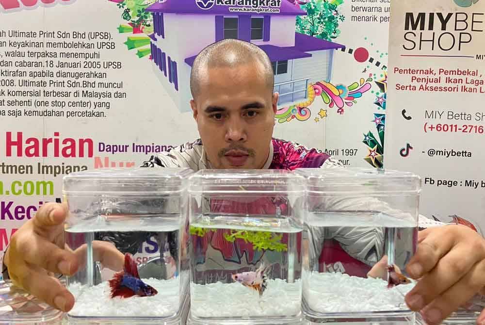 Ahmad Amirul menunjukkan ikan hiasan yang dijualnya di Karnival Rakyat Karangkraf.