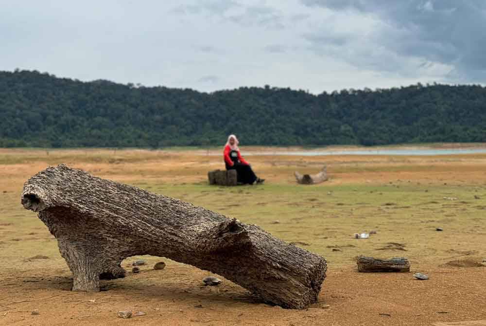 Cuaca panas yang berpanjangan menyaksikan Tasik Pedu surut dengan ketara.