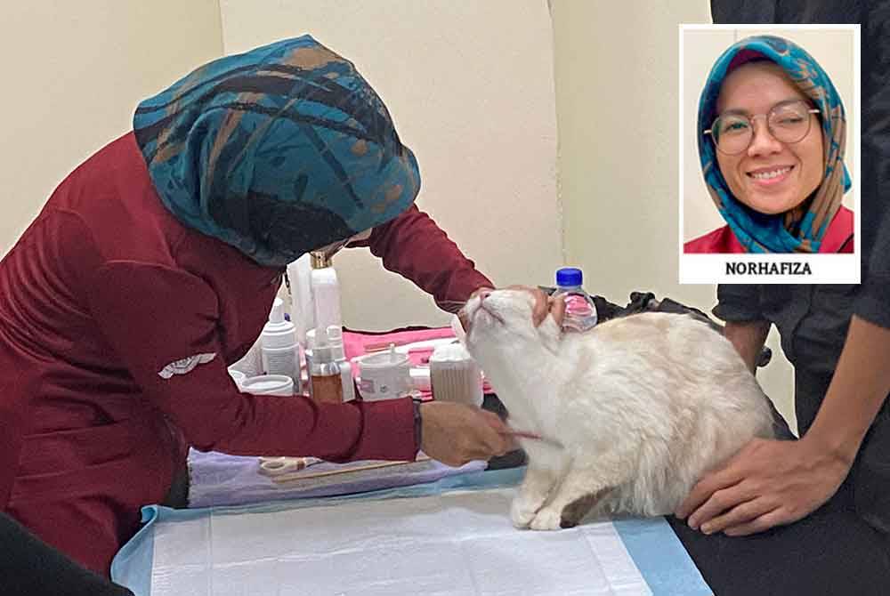 Tukang rias kucing profesional dipanggil untuk menjayakan sesi Spa Tomkraf.