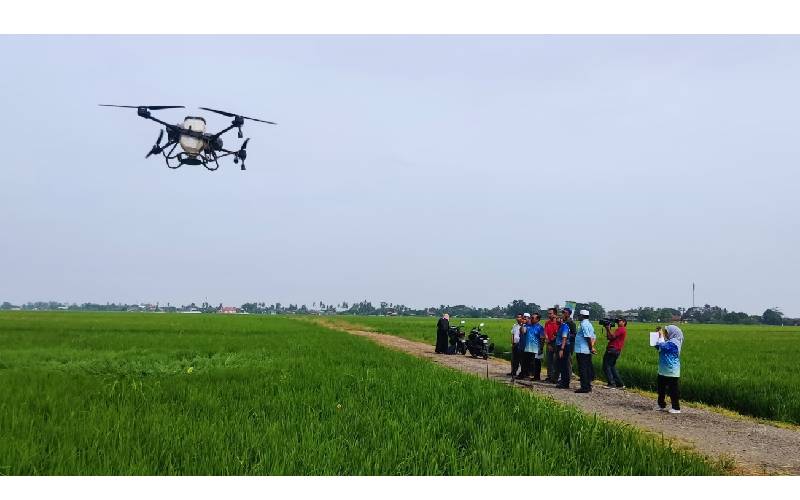 Penggunaan teknologi seperti dron yang digunakan dalam penanaman padi antara elemen yang dilihat Banci Pertanian 2024.