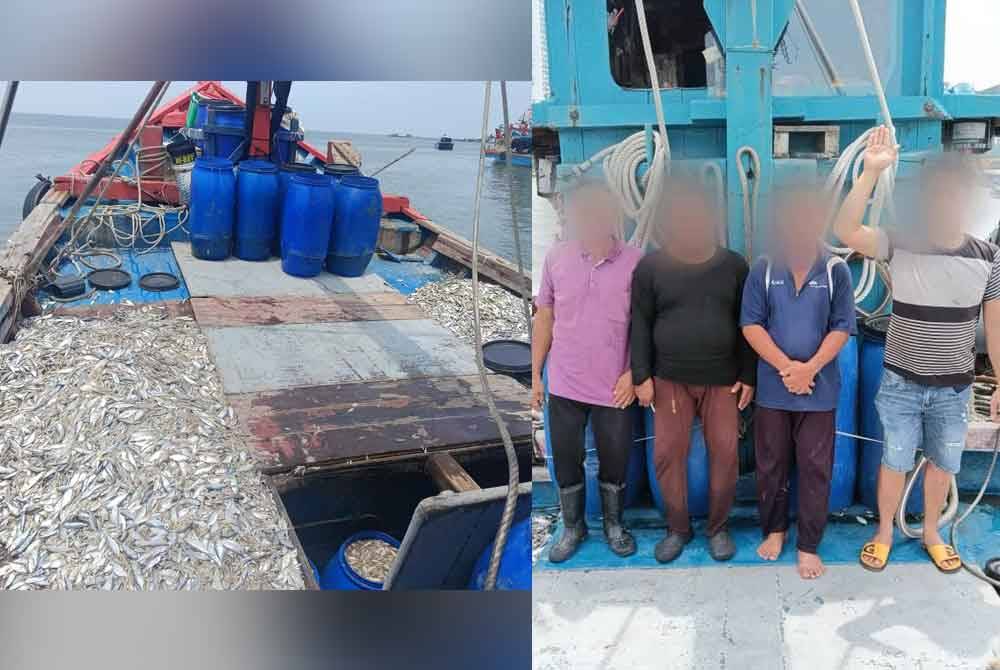 Empat nelayan tempatan ditahan bersama 500kg ikan baja selepas bot tunda mereka dipercayai menceroboh zon penangkapan ikan di kedudukan 0.9 batu nautika tenggara Batu Maung, di sini pada Jumaat.