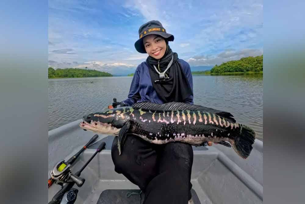Nurul Aina pernah menaikkan ikan toman seberat tujuh kilogram di Empangan Gubir, Kedah.