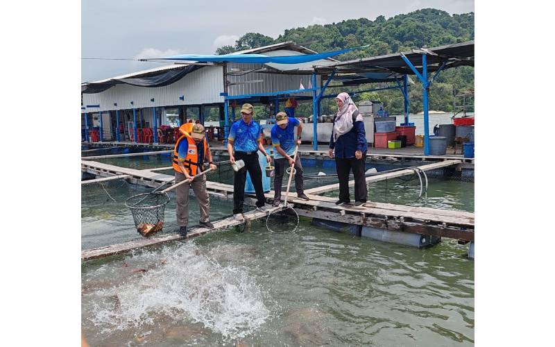 Ketua Perangkawan Malaysia, Datuk Seri Dr Mohd Uzir Mahidin (kiri) sedang menyauk ikan ketika lawatannya ke sangkar ikan di Pulau Jerejak pada Sabtu.