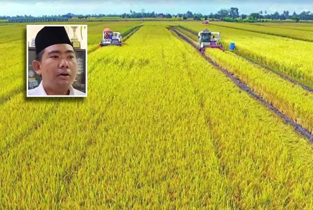Penubuhan TVET pertanian khususnya penanaman padi di Kedah mampu meningkatkan hasil tanaman padi seterusnya menjamin sekuriti makanan negara - Gambar hiasan (Gambar kecil: Nazri)