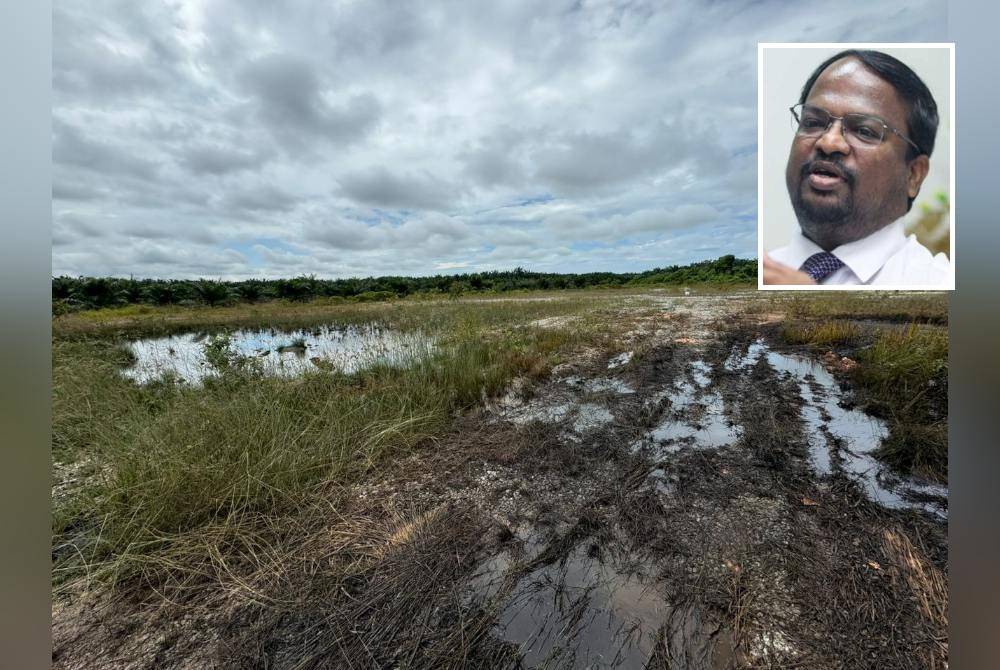 Kesan tumpahan minyak yang didapati di Chuah, Mukim Jimah, Port Dickson. Foto Ihsan pejabat S Veerapan