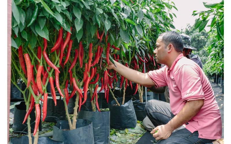 Peladang perlu inovatif, kuasai teknologi dan tingkatkan kepakaran dalam memacu aktiviti pertanian seiring dengan perubahan dalam sektor itu.