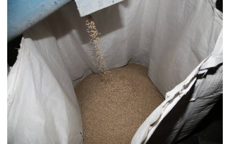 Padi yang berkualiti dihasilkan untuk memenuhi permintaan tempatan.