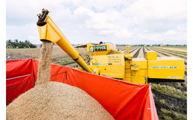Ketidakjaminan makanan akan menggoyahkan hak asasi keperluan manusia.