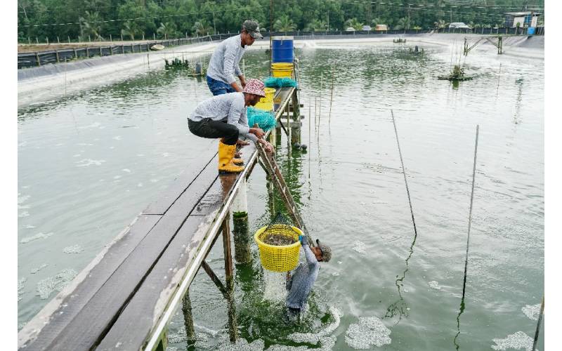 Nelayan merupakan golongan yang penting dalam menentukan corak bekalan makanan dan cara pemasaran yang perlu diwujudkan dalam negara.