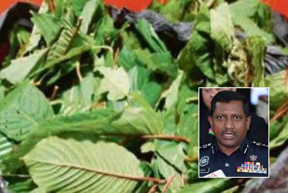 Seorang anggota Pasukan Gerakan Am (PGA) Markas Briged Tengah, Cheras ditahan kerana memiliki bahan larangan dipercayai ketum di bawah Akta Racun 1952, pada Isnin.(Gambar hiasan), gambar kecil: Hussein