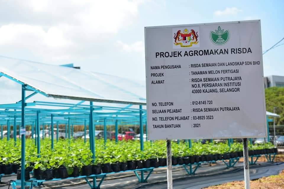 Projek Agromakanan RISDA mampu meningkatkan pendapatan pekebun kecil dengan mempelbagaikan aktiviti pertanian selain daripada penanaman getah.