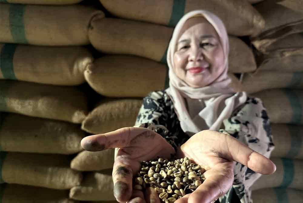 Biji kopi yang belum diproses.