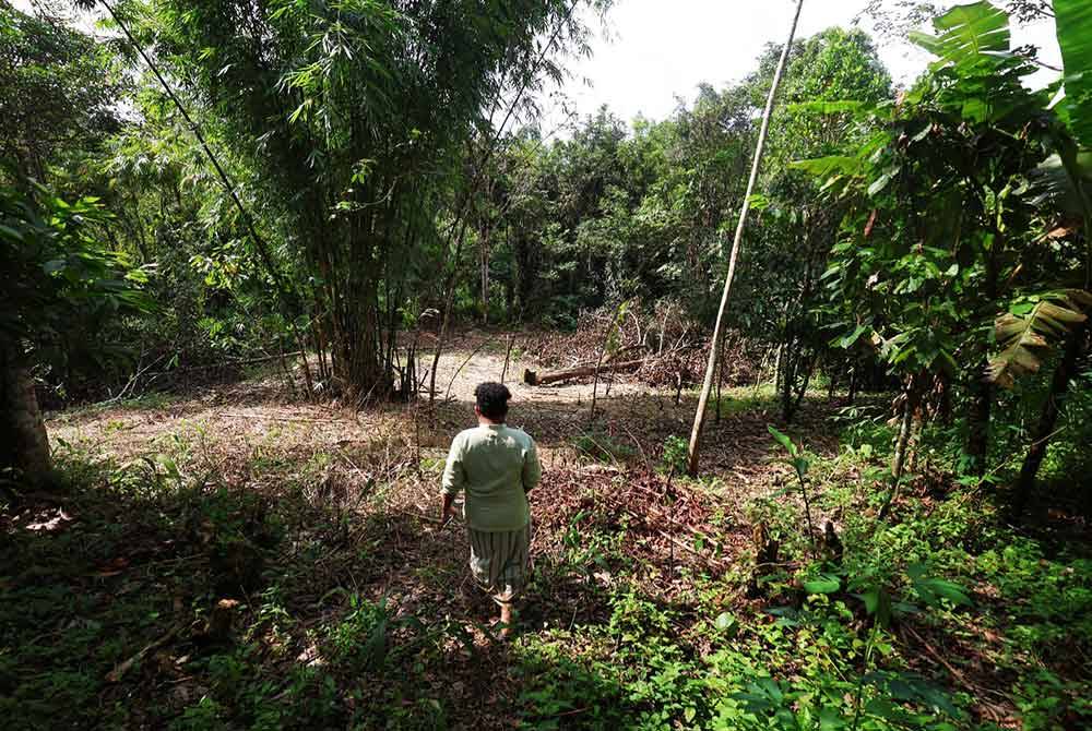 Laluan ke lokasi penemuan jasad Nuraina Humaira hanya kurang satu minit dari kediaman terakhir penduduk Kampung Bersah.