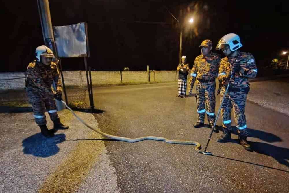 Anggota Bomba dan Penyelamat Sik yang hadir ke lokasi sebaik sahaja menerima panggilan. FOTO JBPM