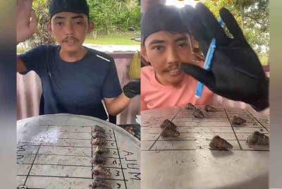 Tangkap layar sesi 'live' perlumbaan siput sedut di Tiktok @tansri_ash pada Rabu.