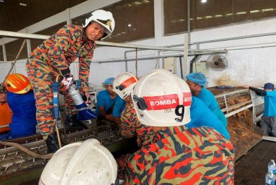 Anggota bomba membuat kerja-kerja penyelamatan dengan menggunakan peralatan hydraulic bagi mengeluarkan tangan mangsa yang tersepit. Foto JBPM Perak