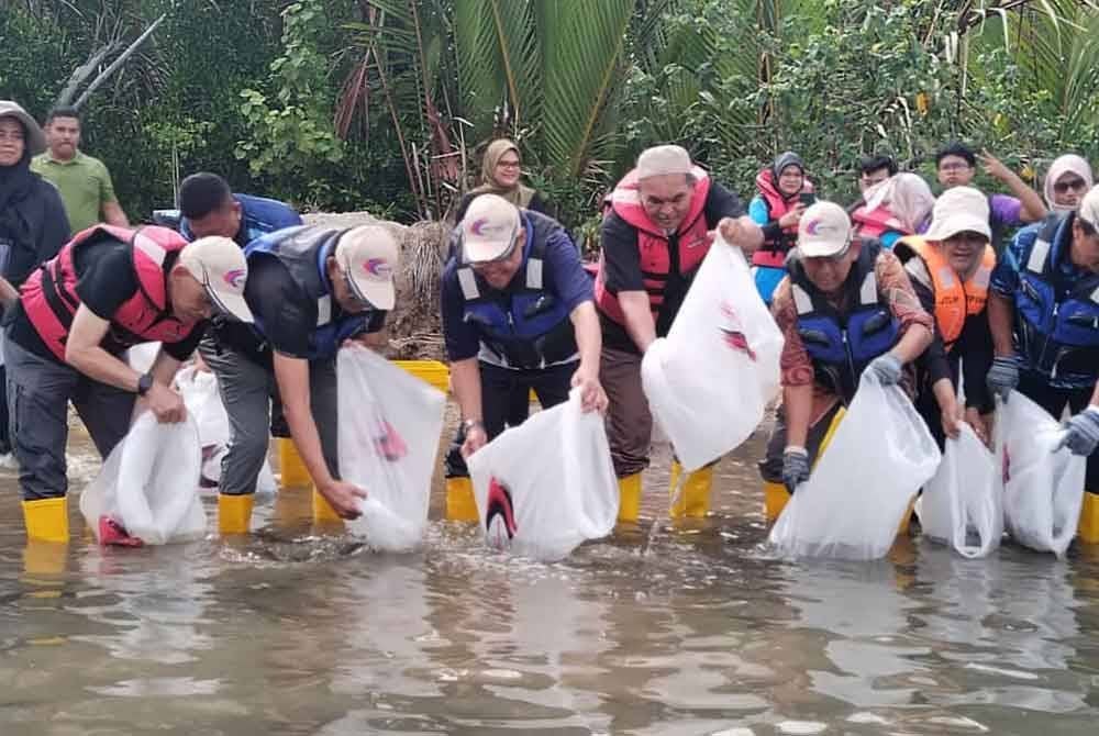 Sebanyak 4,000 benih ikan dan ketam dilepaskan di Merchang Wetland pada Khamis.