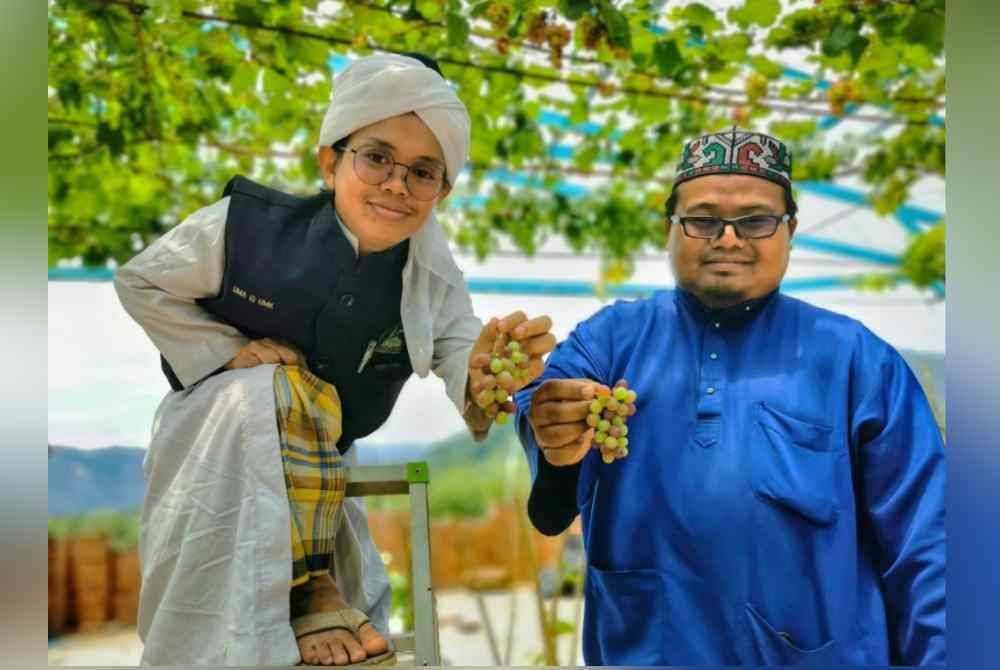 Muhammad (kiri) bersama kakitangan pengurusan Madrasah Darul Zahraa Wal Tahfizil Quran, Mohd Nasrun Abdullah menunjukkan buah anggur yang mula berbuah di Taman Anggur dan Strawberi Darul Zahraa di Kampung Dura, Hulu Terengganu.