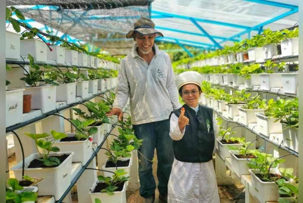 Muhammad (kanan) bersama Bedin meninjau taman strawberi di Madrasah Darul Zahraa Wal Tahfizil Quran dekat Kampung Dura, Hulu Terengganu.