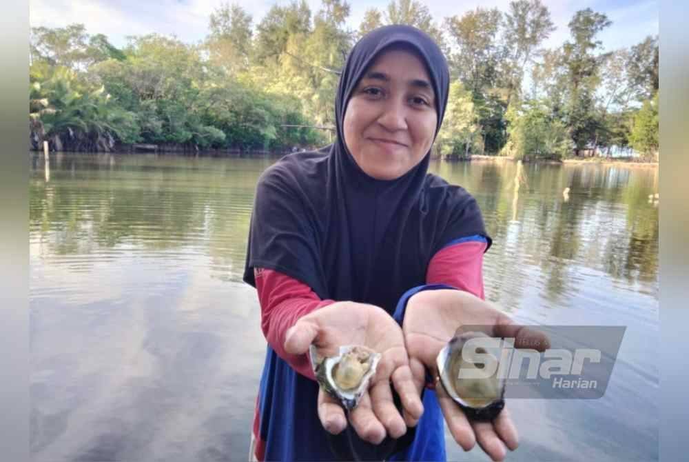 Siti Fatimah menunjukkan tiram yang dicari di sungai Pantai Impian.