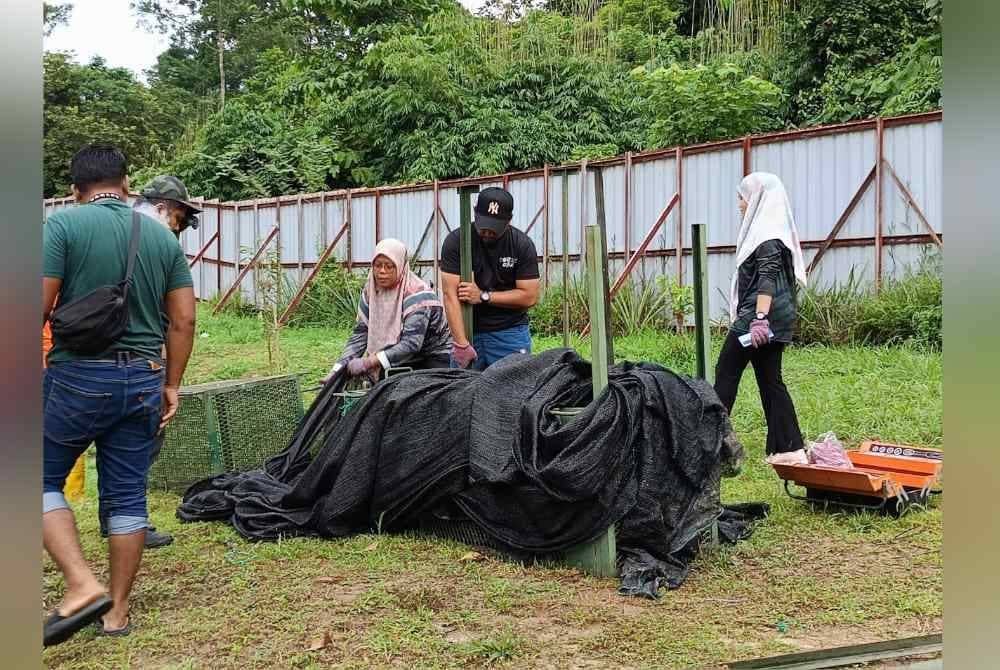 Seekor harimau kumbang yang sebelum ini dipercayai membaham dua ekor anjing di sebuah kebun di Kampung Chengkau Ulu di sini masuk perangkap yang dipasang Perhilitan.