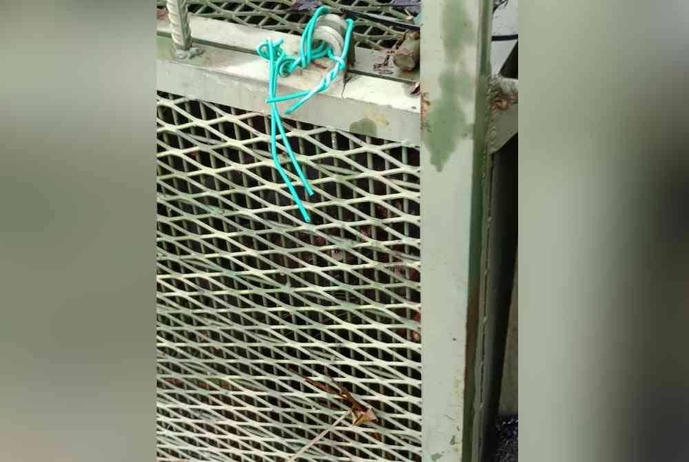 Harimau kumbang masuk perangkap yang dipasang Perhilitan.