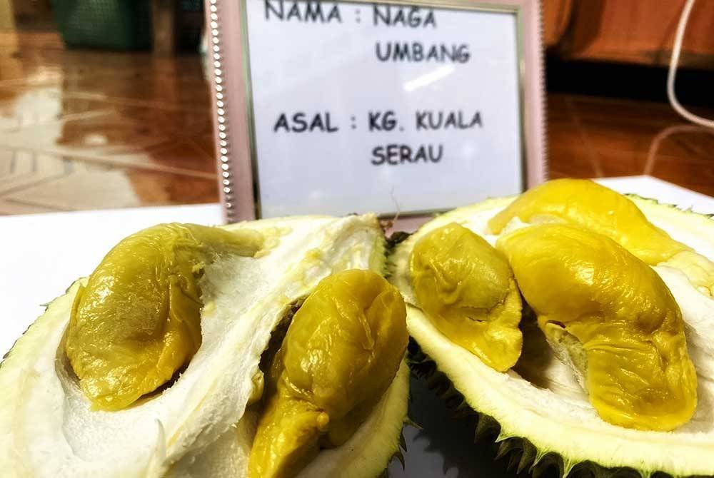 'Naga umbang' antara pilihan juri dalam pertandingan tersebut.