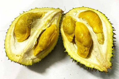 Bentuk buah 'naga umbang' dan duri seakan durian udang merah dengan berat satu hingga 2.5(kg).