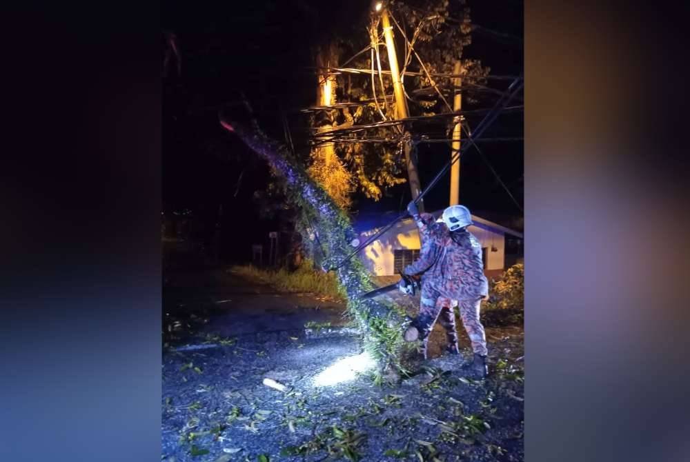 Anggota bomba memotong pokok yang tumbang itu dan operasi selesai sepenuhnya pada 12.38 tengah malam. Foto JPBM Perak