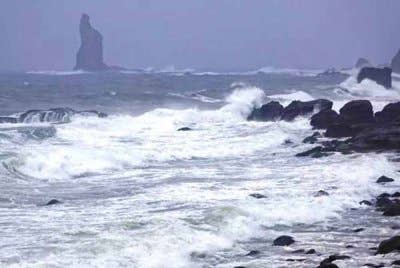 Ribut kuat Shanshan telah mendarat di wilayah Kagoshima, barat daya Jepun, menurut Agensi Meteorologi Jepun (JMA) pada Khamis.