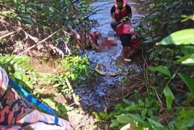 Mayat seorang warga emas lelaki ditemukan dalam keadaan terapung di kawasan paya berhampiran Kampung Beta Hulu, Nilam Puri, Ketereh di Kota Bharu pada Ahad.