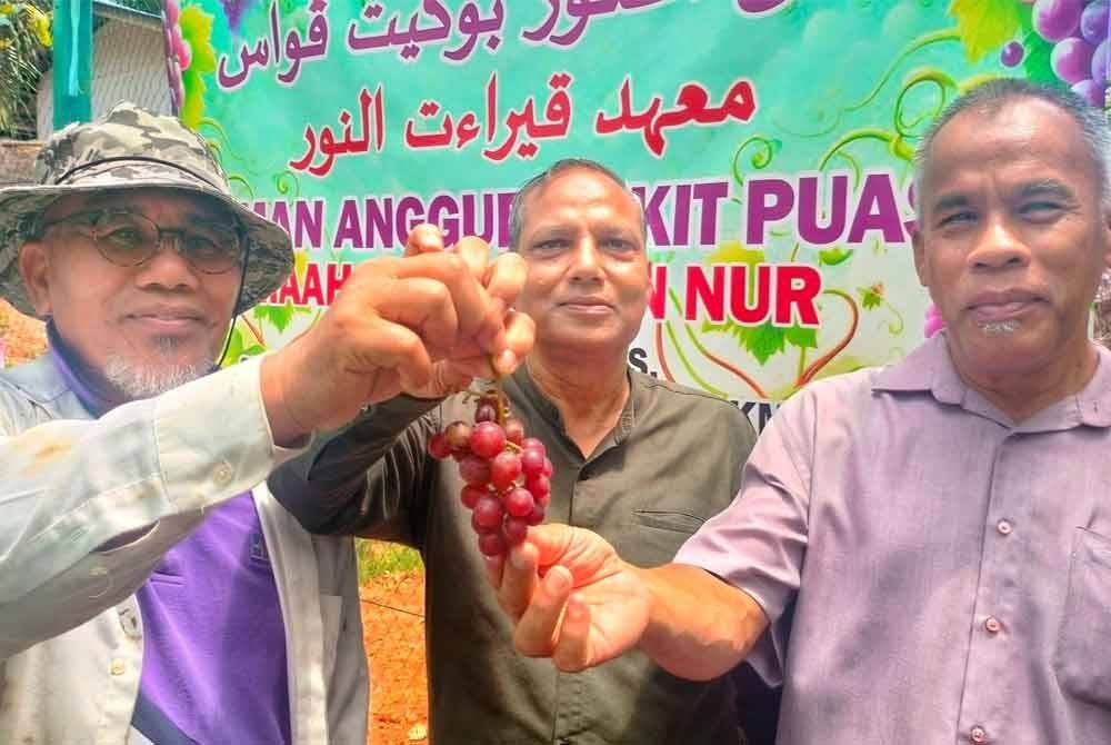 Ahmad Nazlan (kiri) dan Abdul Rafid (tengah) serta AJK maahad itu, Abdul Razak Ismail menunjukkan hasil anggur yang ditanam di Laman Anggur tersebut