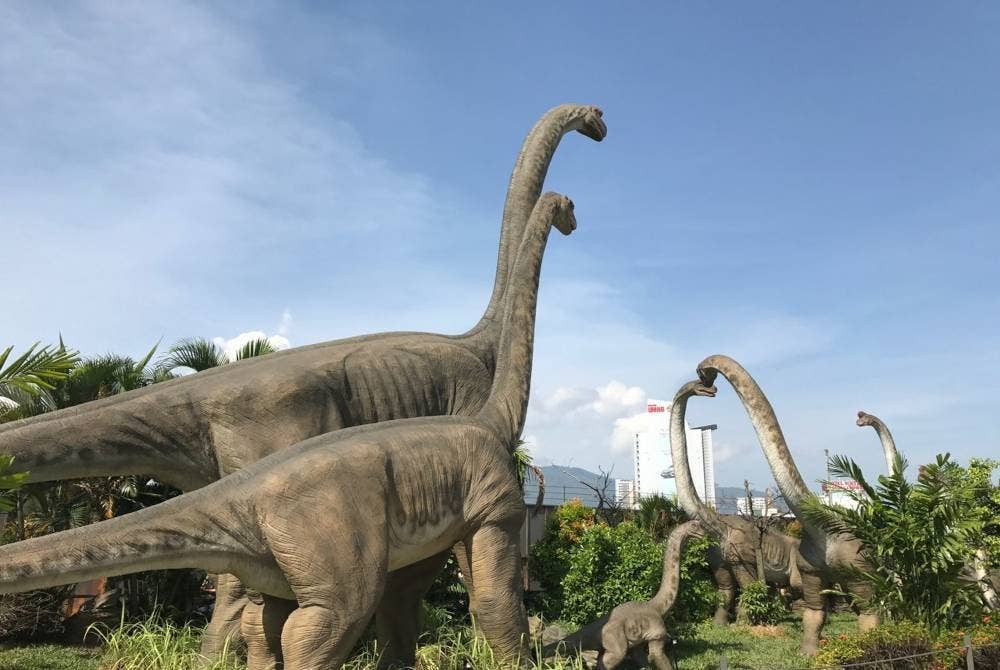 Pusat Kajian Jurassic merupakan tarikan yang terdapat di The Top.