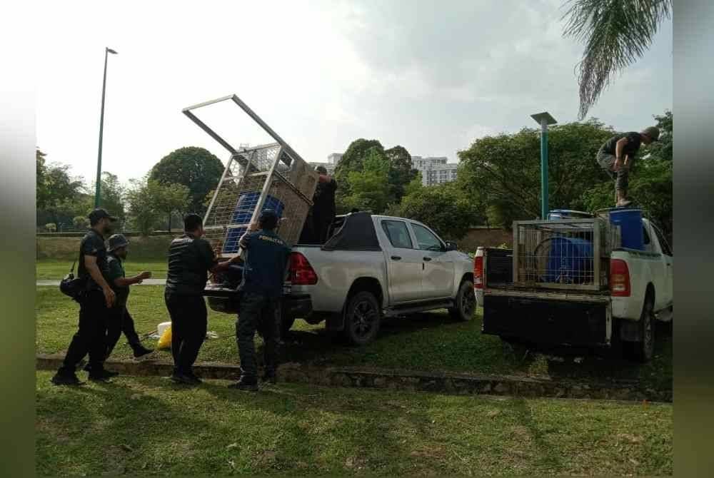 Perhilitan Selangor memasang dua perangkap di Taman Tasik Shah Alam di Seksyen 7.