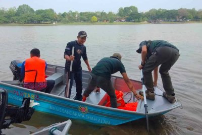 Perhilitan akan membuat rondaan setiap hari untuk memantau perangkap dan umpan ayam yang dipasang.