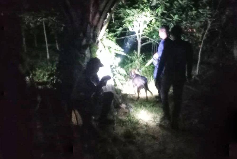 Anjing pengesan dari Unit K9 Kuantan turut terlibat dalam operasi pencarian kanak-kanak lelaki terbabit di Felda Lurah,Bentong.
Pix Ihsan PDRM