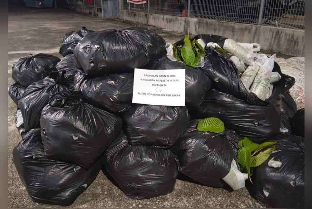 Bungkusan mengandungi daun ketum yang dilonggokkan atas jeti persendirian di muara Kuala Kedah pada malam Jumaat. Foto Maritim Malaysia