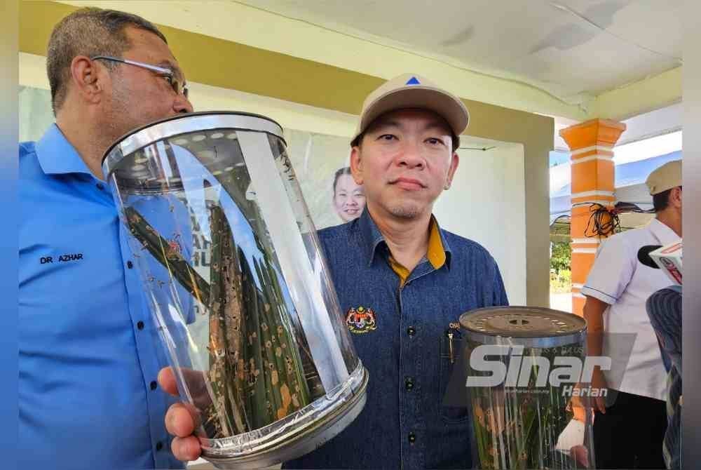 Foong Hin menunjukkan ulat bungkus yang menyerang ladang-ladang kelapa sawit milik pekebun kecil dalam negara.