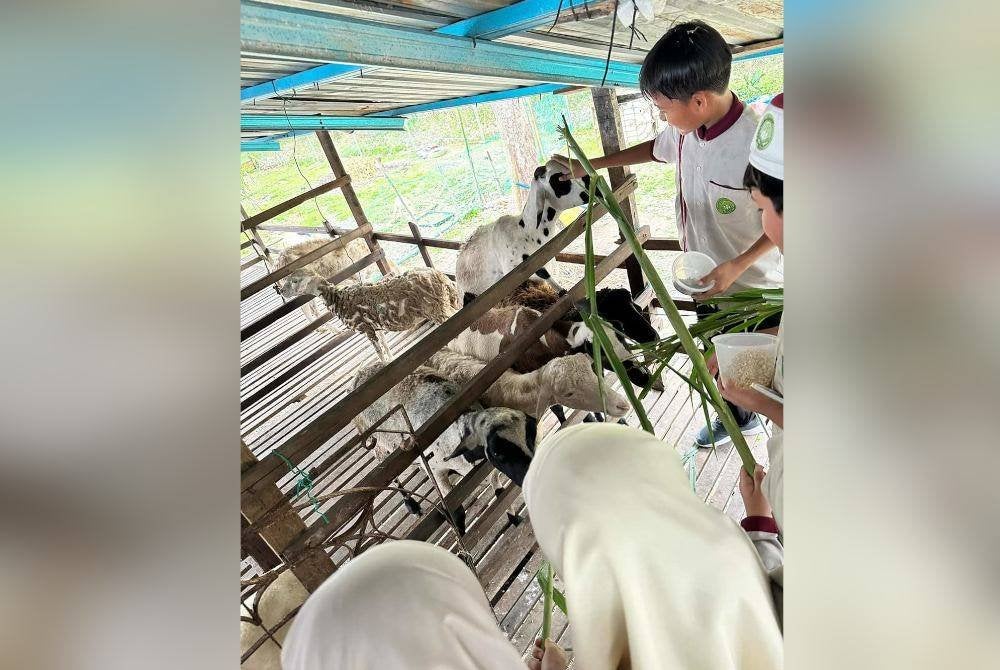 Zoo mini di Reban PokLeh menerima sambutan menggalakkan daripada pengunjung seterusnya membantu merancakkan sektor pelancongan di Pontian.