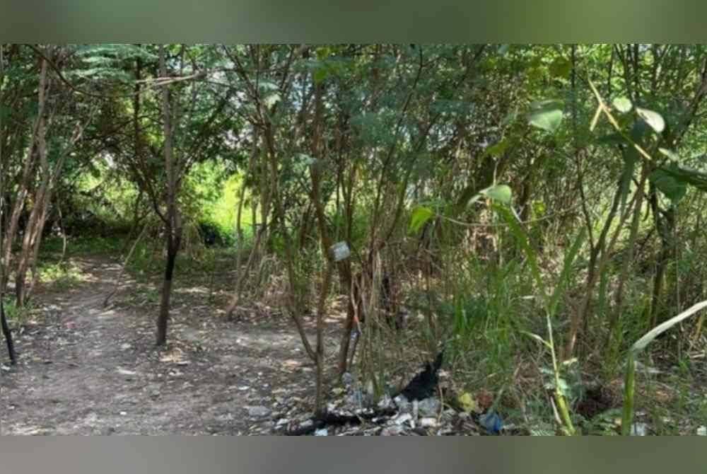 Kawasan belukar yang menjadi antara lokasi sarang penagih melepas gian dadah diserbu polis, baru-baru ini.