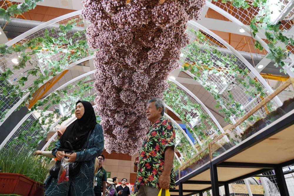 Reruai pertanian bawang dan cili turut dipamerkan di Dewan A, MAEPS sempena MAHA 2024.