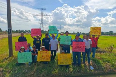 Pesawah Sungai Manik menuntut bekalan baja subsidi diberikan dalam kadar segera bagi mengelak tanaman terjejas.