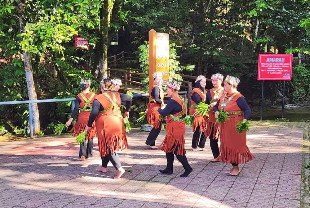 Tarian kebudayaan masyarakat Orang Asli antara program khas disediakan kepada pengunjung.