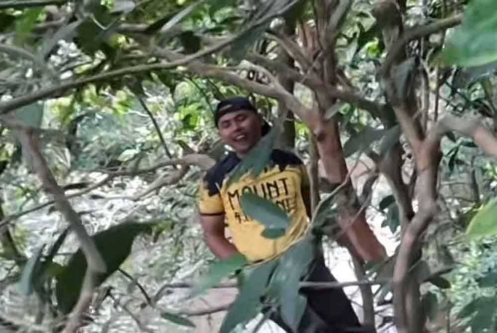 Kedua-dua pemancing mengambil keputusan untuk memanjat pokok bagi tujuan keselamatan.